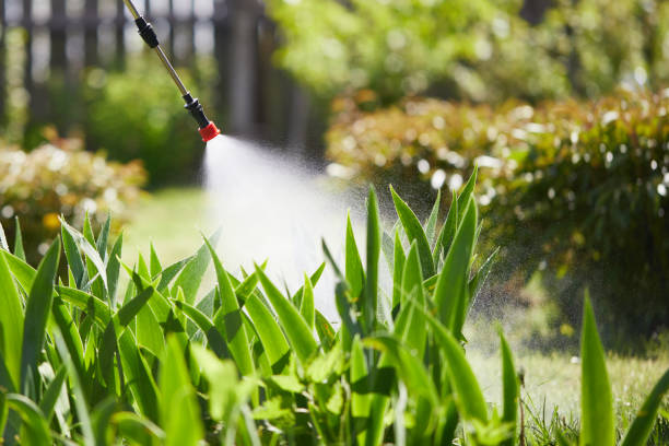 24/7 Emergency Cockroach Control experts in Douglas, WY